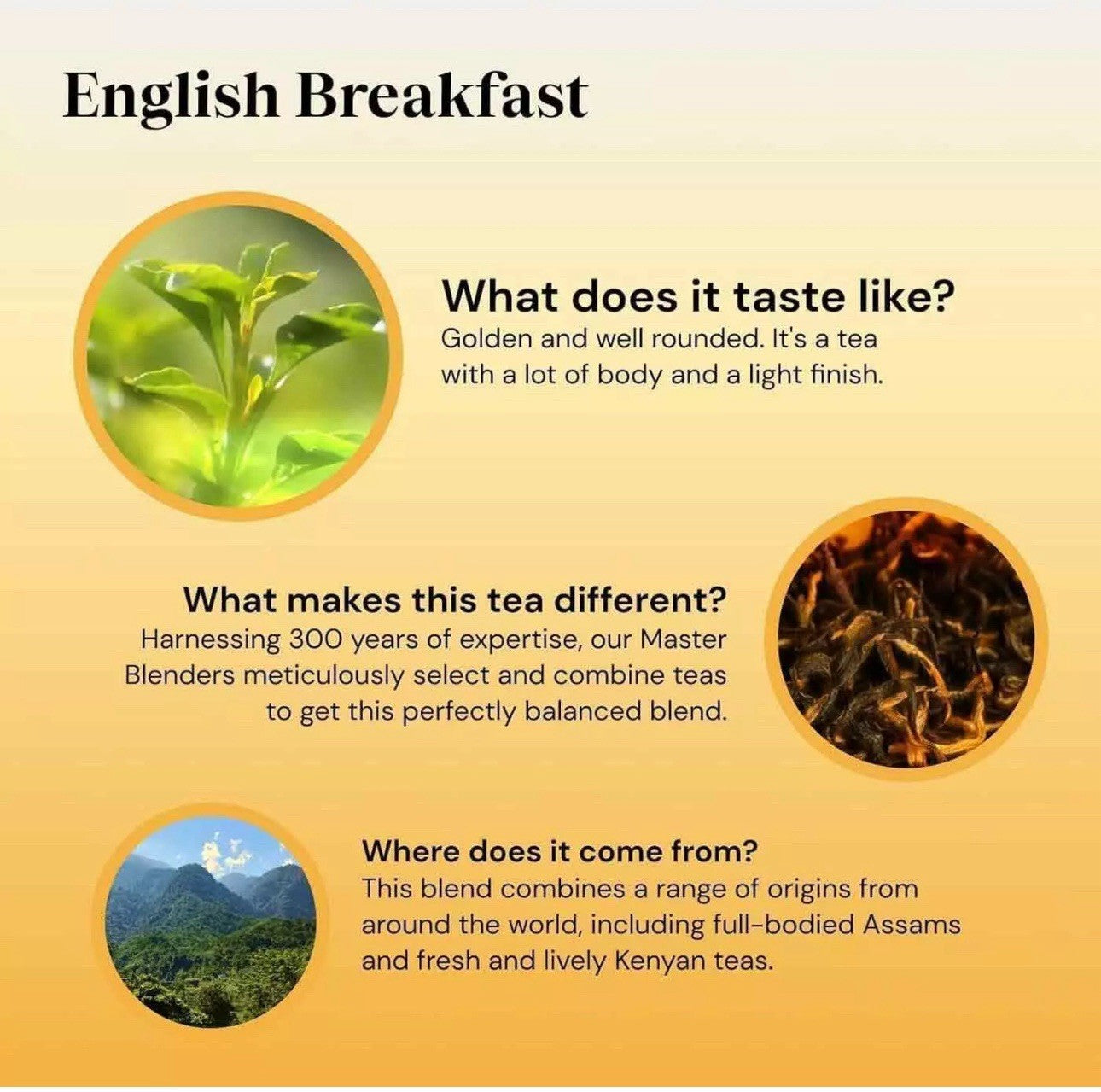 Twinings English Breakfast Black Tea Golden & Well Rounded Taste Pack 300 Bags